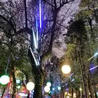 2023光源台北燈會-沿途街景裝飾