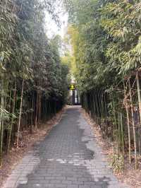 韓国/ソウル【狎鴎亭】竹の入口！？🌿狎鴎亭にあるベーグル屋さん🥯