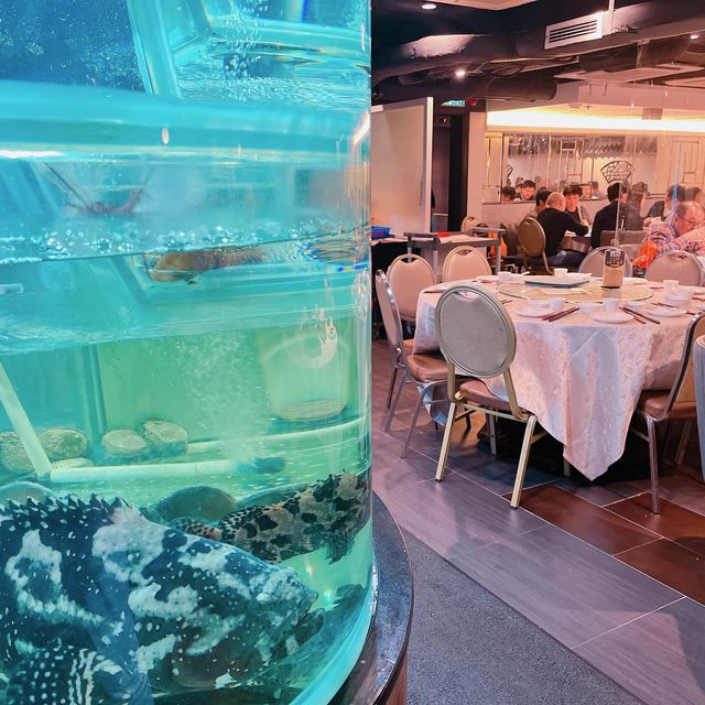 環境方面，餐廳以傳統中菜菜館裝修，夠古色古香，係呢個環境食飯都幾舒服，好適合帶埋屋企人黎開開心心聚下食餐飯~