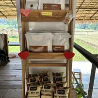 วิสาหกิจชุมชนบ้านสบขุ่น : กาแฟสร้างป่า