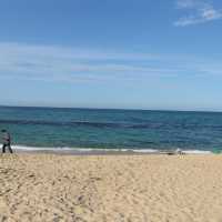 강릉 여행 당일치기로 다녀오기! 🌊