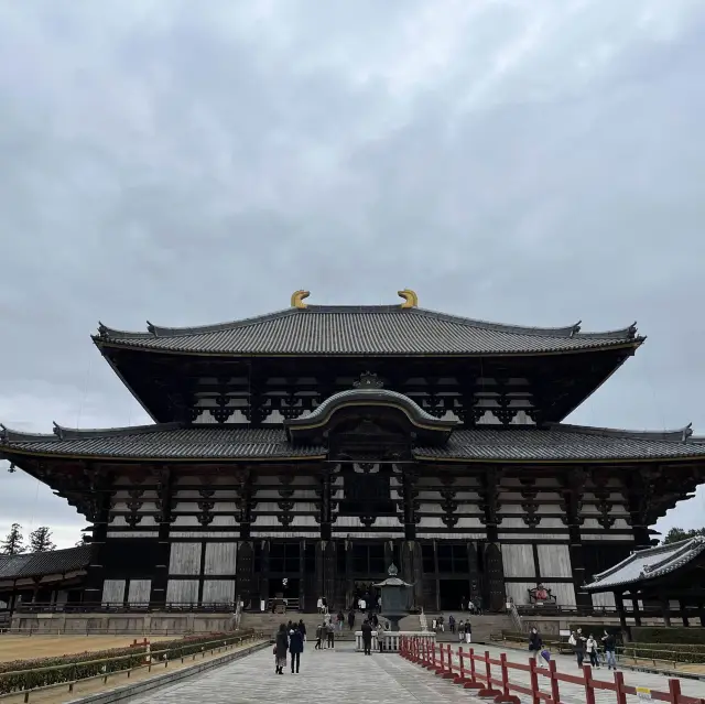 Nara Park One Day Tour❤️Deer Feeding Experience🦌