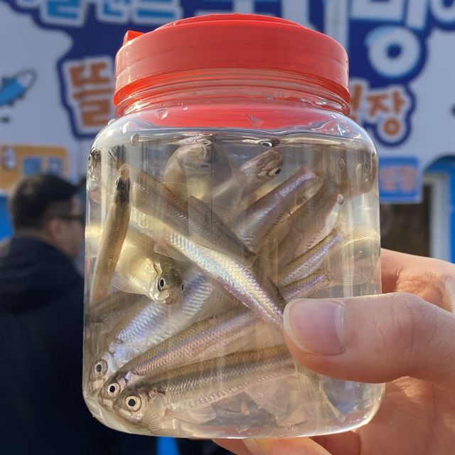 안양 근교 당일치기 여행, 과천 “서울랜드” 🎡