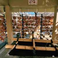 招財貓的發源地：淺草「今戶神社」無論是單身或是戀愛升溫也要一段好姻緣吧！