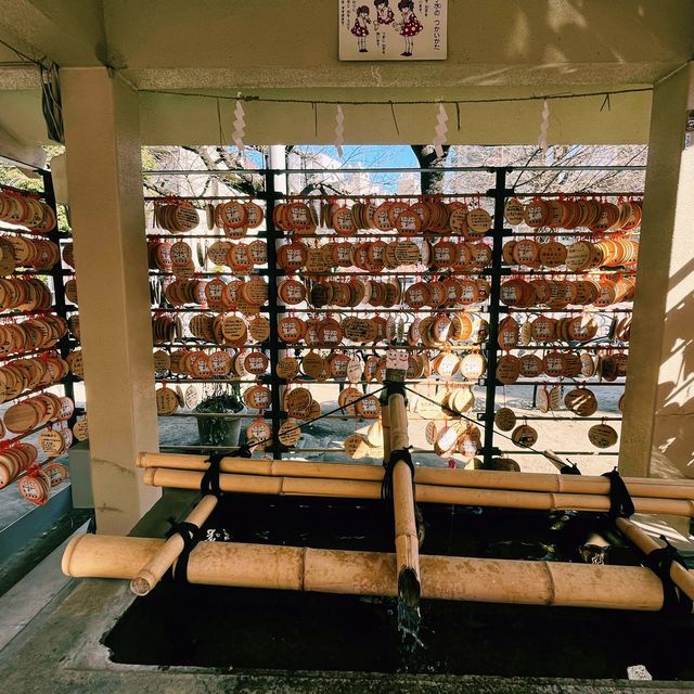 招財貓的發源地：淺草「今戶神社」無論是單身或是戀愛升溫也要一段好姻緣吧！