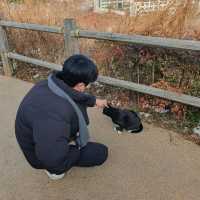 서울 도심지에서 즐기는 과거여행, 한양도성길(낙산공원)
