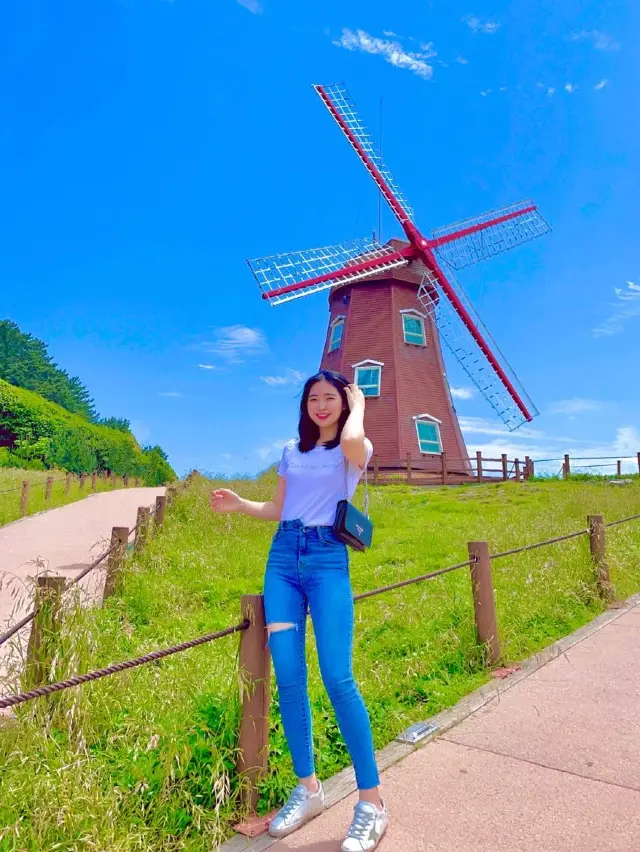 바람의 언덕 - 입장권, 운영 시간, 후기 & 사진 [2024년] | Trip.com