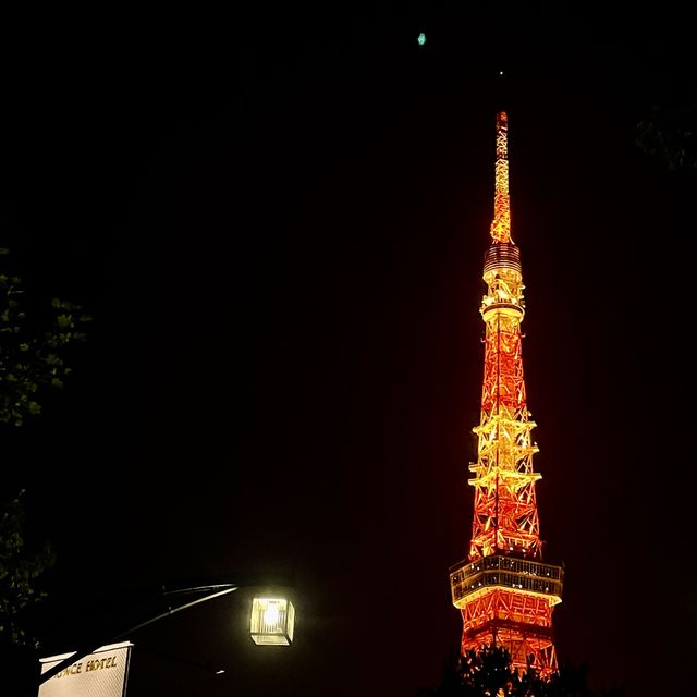 숨은 도쿄타워 관람 명소🗼