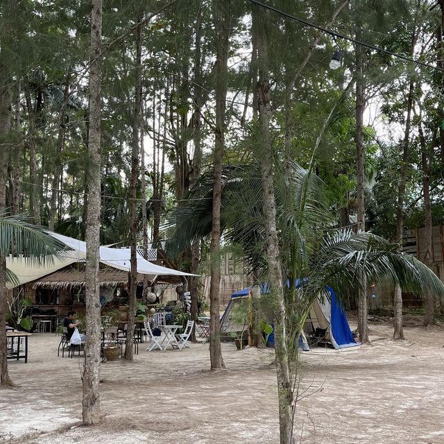 Island camping 