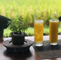 烏布田園中的平價景觀小餐廳：The Tejas Warung