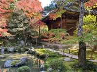 【京都】絶景ながらマイナー観光スポット！蓮華寺をご紹介