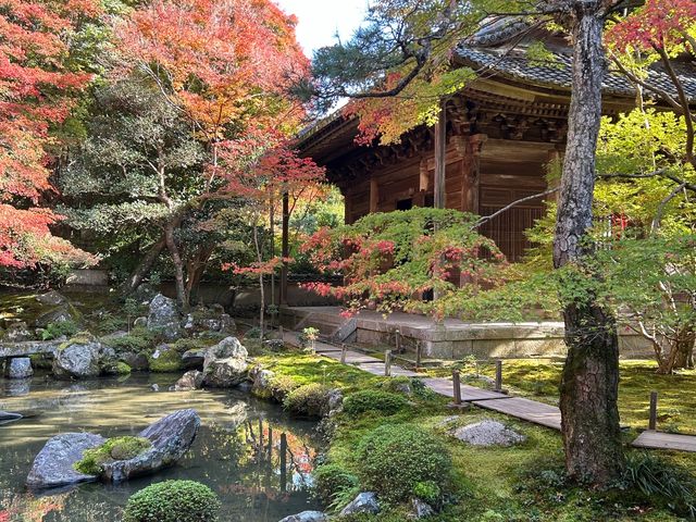 【京都】絶景ながらマイナー観光スポット！蓮華寺をご紹介