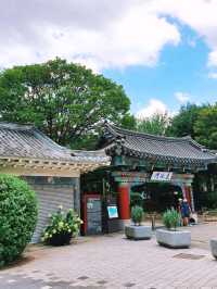🌿전주 덕진공원에서 연꽃보기