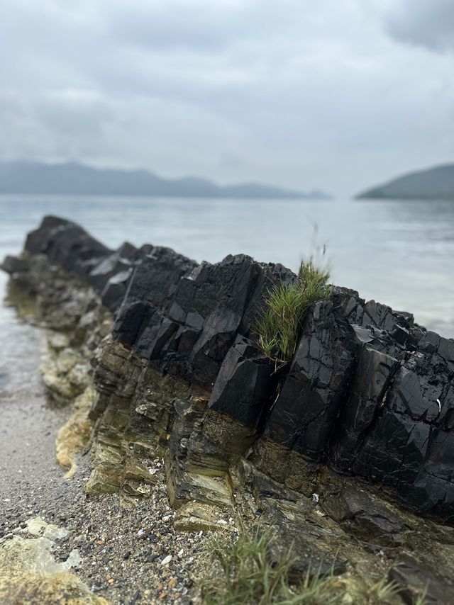 《香港》天然黑寶石🖤｜出海🚣🏽‍♀️去荔枝莊一日遊