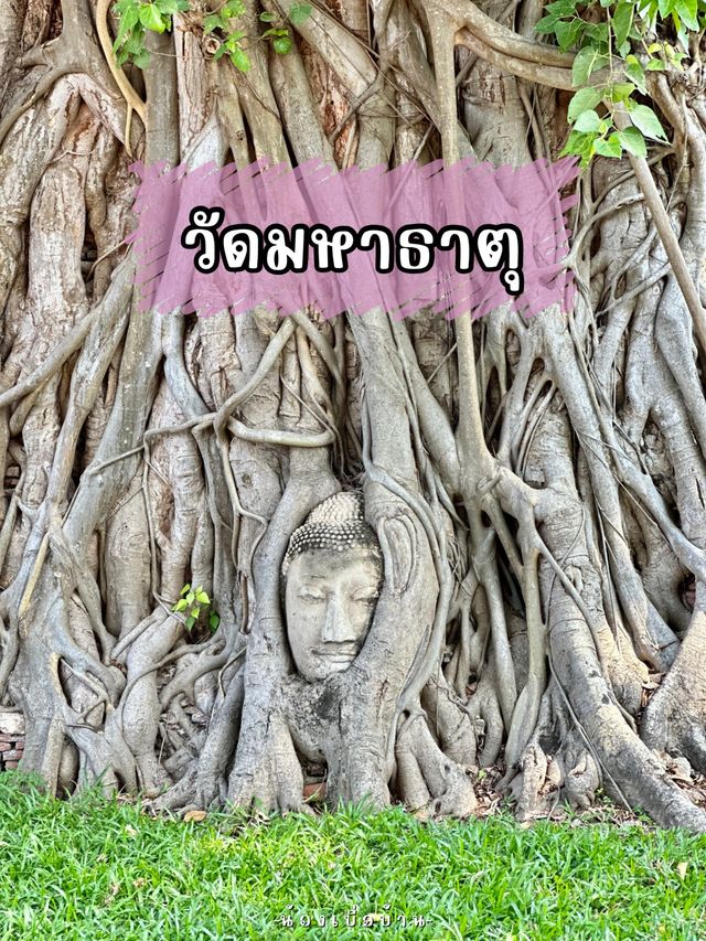 วัดมหาธาตุ อยุธยา