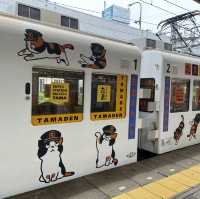 ไปขึ้นขบวนรถไฟแมวทามะกัน!