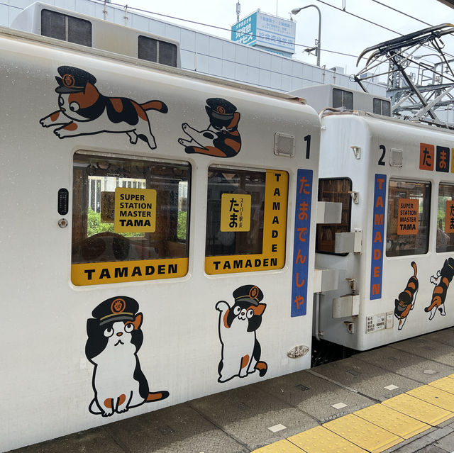ไปขึ้นขบวนรถไฟแมวทามะกัน!