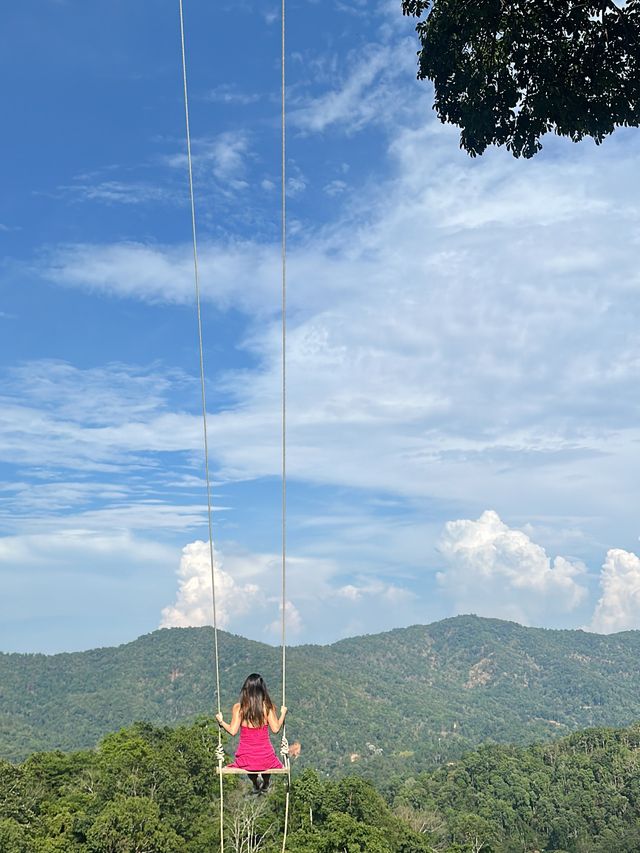 4Sky | A nature escape in Chiang Mai 🇹🇭🌿🌴🌱🌳