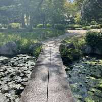 【大阪府】旧住友家の本宅庭園「慶沢園」
