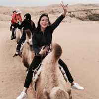 Riding on a camel amidst the rolling dunes