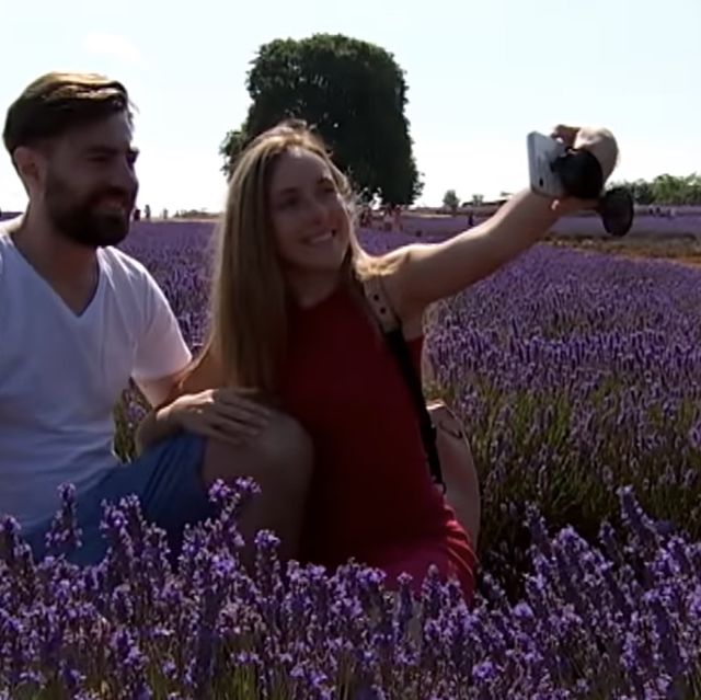 Lavender farm Tours 179$