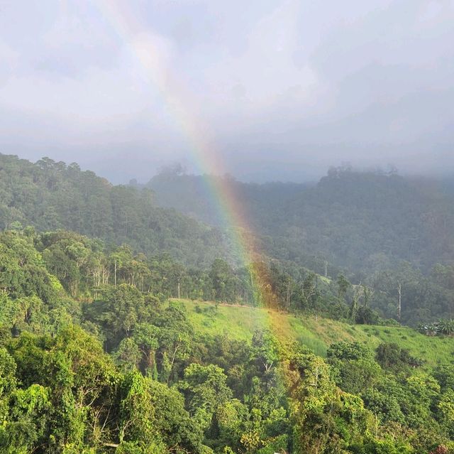 หน้าฝนต้องมองเขียว 🍀ที่ระเบียงดาว เชียงใหม่