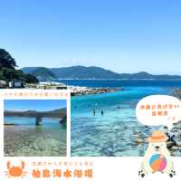 【高知・柏島】まるでカリブ海！絶景すぎる海