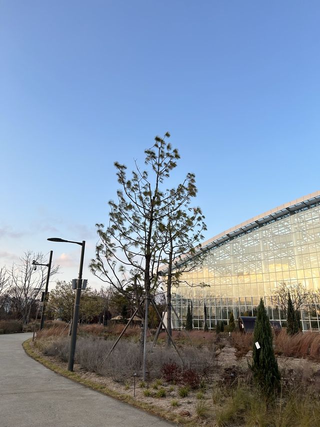 수원 산책하기 좋은 “일월수목원“🌲