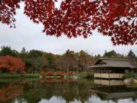 Stunningly beautiful Showa Kinen Park