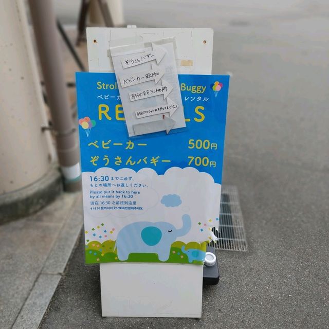 入場料 大人500円！大満足 天王寺動物園