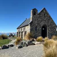 The Sheepdog Memorial @ Lake Tekapo