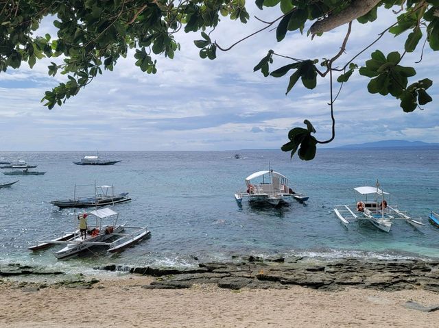 Apo Island, Dumaguete Philippines