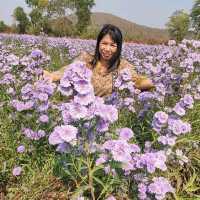 Hinoki Land ฮิโนกิแลนด์ เชียงใหม่