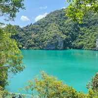 ทะเลใน เกาะแม่เกาะ green lagoon 