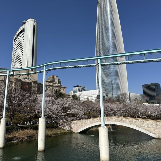 매직아일랜드와 벚꽃의 환상적인 콜라보, 석촌호수 벚꽃축제 🌸