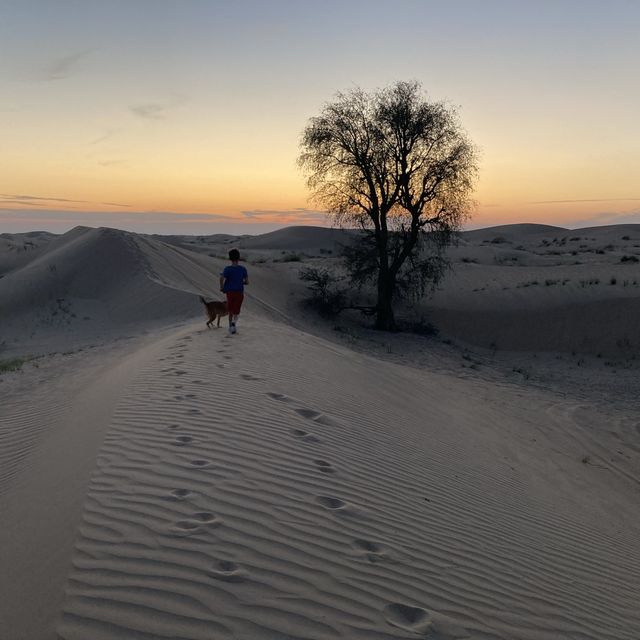 Sunset on a desert