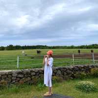 🍊제주 이색숙소 조랑말뷰 숙소 포니제주🐴