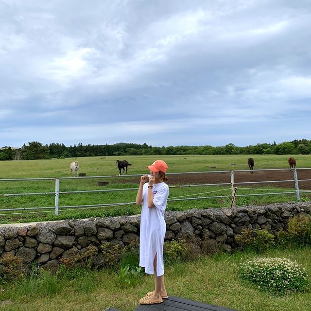 🍊제주 이색숙소 조랑말뷰 숙소 포니제주🐴