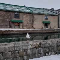 Otaru Canal แลนด์มาร์กสำคัญที่ต้องมาเช็กอิน
