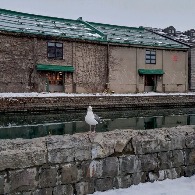 Otaru Canal แลนด์มาร์กสำคัญที่ต้องมาเช็กอิน