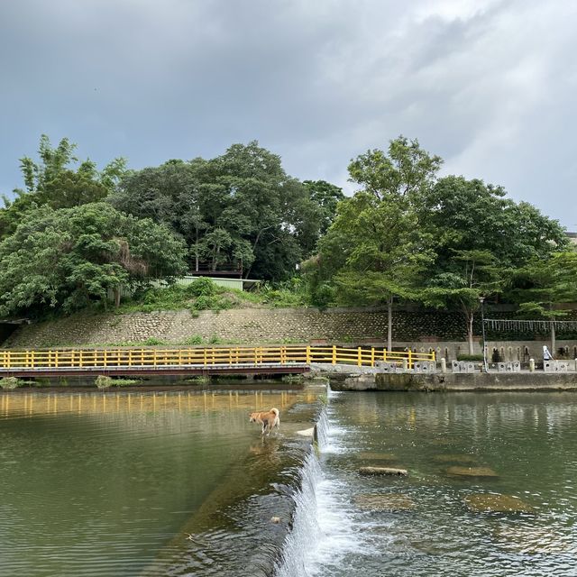 牛欄河步道 🐕 在關西