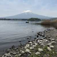 富士山河口湖大石公園🗻🌟