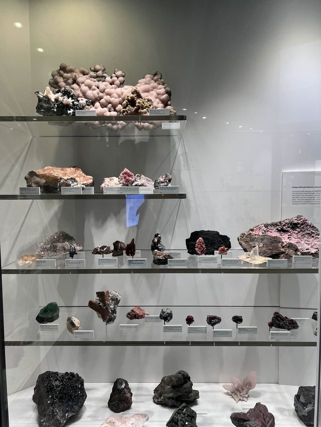 พาเที่ยว Melbourne Museum ออสเตรเลีย 🇦🇺