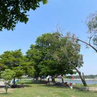 เขื่อนลำปาว จังหวัดกาฬสินธุ์