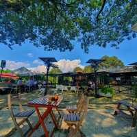 "Horse Riders' Hideout: Ekues Cabin Cafe"