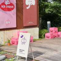 헤이리마을 소품가게&아이스크림 엘리펀트플라잉🍦