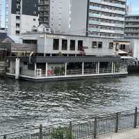 【大阪・大正】タグボート大正の絶品沖縄料理「沖縄酒場 きじむなーの森」