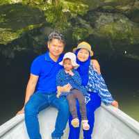 Amazing experience to Mangrove tour!!