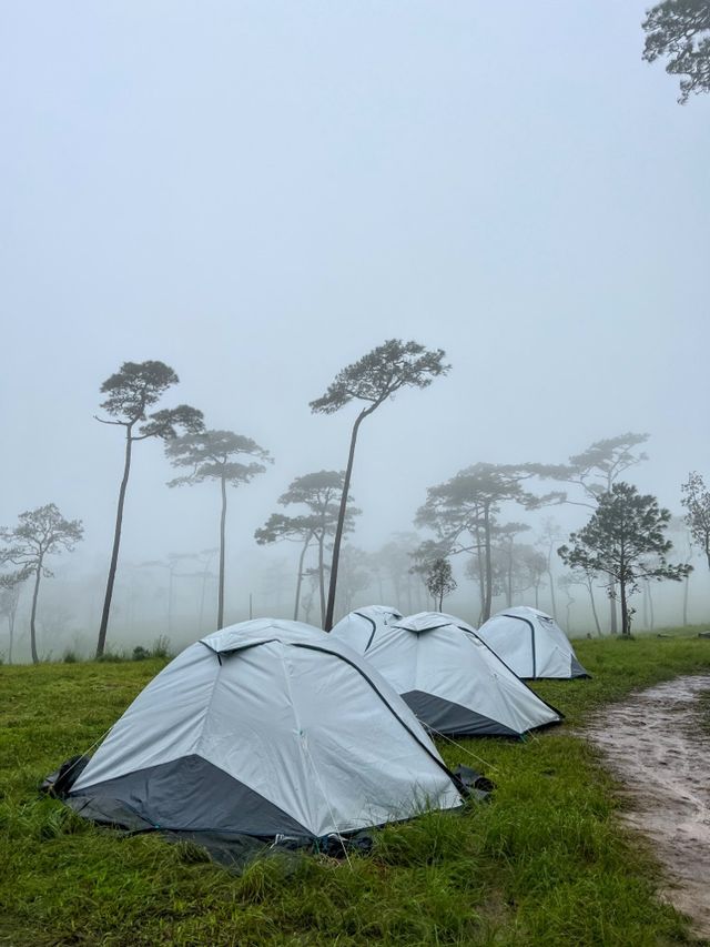 อุทยานแห่งชาติภูสอยดาว | Phu soi dao National Park