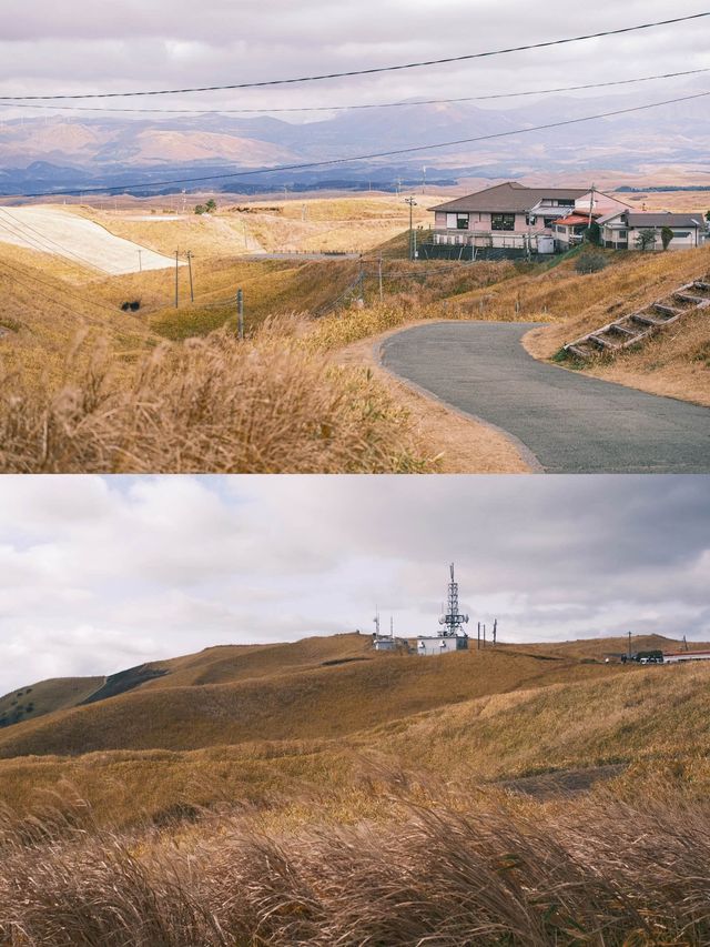 日本九州｜大觀峰 秋季必到訪的壯麗自然景觀⛰️